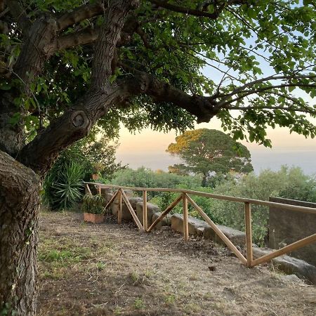 L'Ulivo In Villa Greco Tindari Bagian luar foto