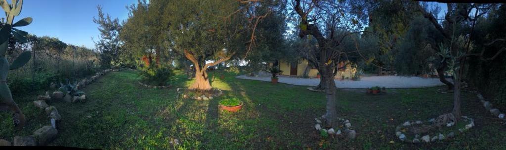 L'Ulivo In Villa Greco Tindari Bagian luar foto