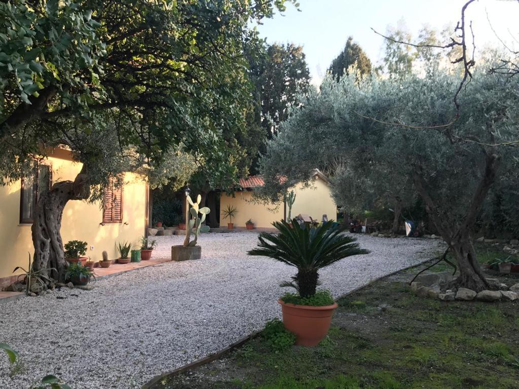 L'Ulivo In Villa Greco Tindari Bagian luar foto