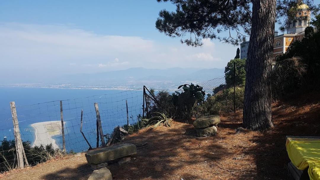 L'Ulivo In Villa Greco Tindari Bagian luar foto