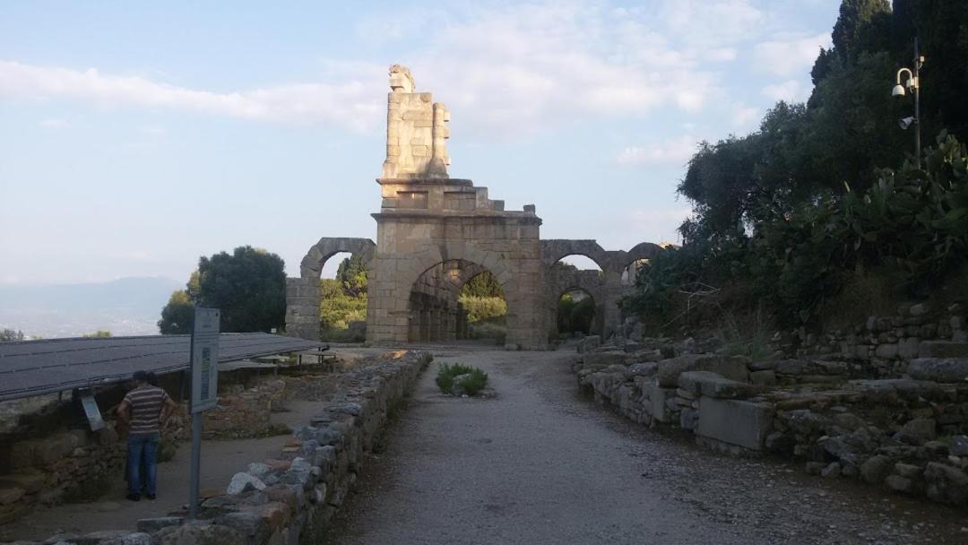 L'Ulivo In Villa Greco Tindari Bagian luar foto