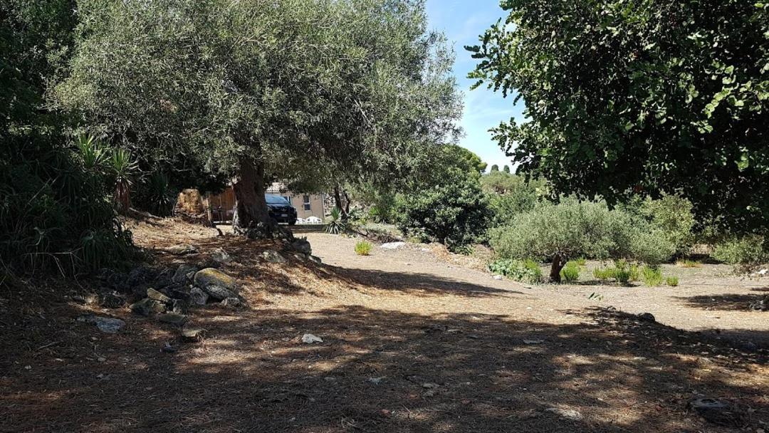 L'Ulivo In Villa Greco Tindari Bagian luar foto