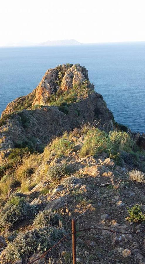 L'Ulivo In Villa Greco Tindari Bagian luar foto
