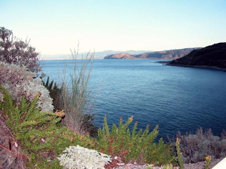 L'Ulivo In Villa Greco Tindari Bagian luar foto
